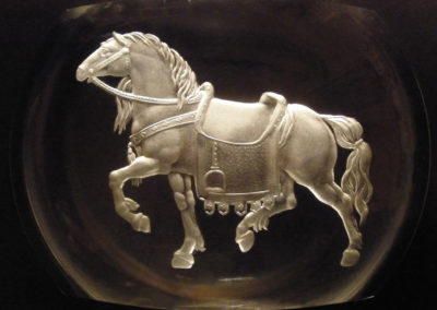 A Horse